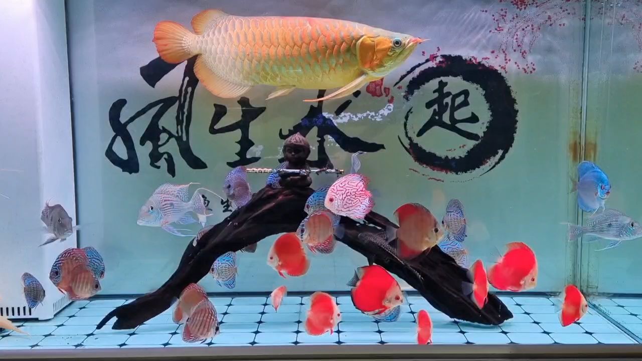 121