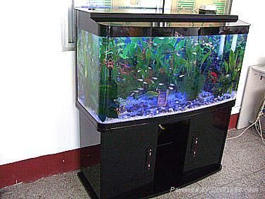50長的魚缸大約多少錢：50厘米的魚缸50長的魚缸多少錢