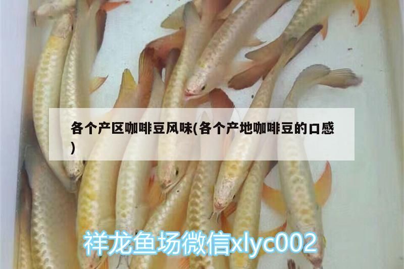 各個產(chǎn)區(qū)咖啡豆風味(各個產(chǎn)地咖啡豆的口感)