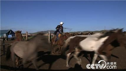 馬印增色藥：搜索結果中沒有直接提到馬印增色藥的信息