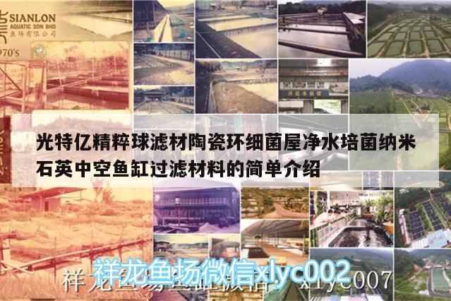 光特億精粹球?yàn)V材陶瓷環(huán)細(xì)菌屋凈水培菌納米石英中空魚缸過濾材料的簡(jiǎn)單介紹 光特億精粹球?yàn)V材陶瓷環(huán)細(xì)菌屋凈水培菌納米石英中空魚缸過濾材料的簡(jiǎn)單介紹 光特億