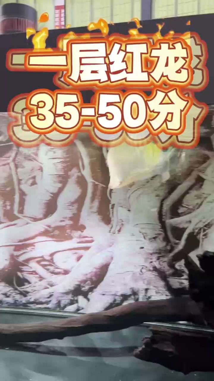 每天給大家更新不一樣的視頻有喜歡觀賞魚的