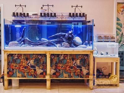 NETLEA尼特利水泵（netlea尼特利水泵優(yōu)惠信息大全什么值得買）