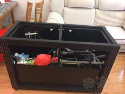 NETLEA尼特利水泵（netlea尼特利水泵優(yōu)惠信息大全什么值得買）