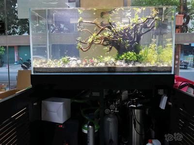 NETLEA尼特利水泵(netlea尼特利水泵優惠信息大全什么值得買) 愛龍仕 第4張 NETLEA尼特利水泵(netlea尼特利水泵優惠信息大全什么值得買) NETLEA尼特利水泵(netlea尼特利水泵優惠信息大全什么值得買) 愛龍仕 第4張