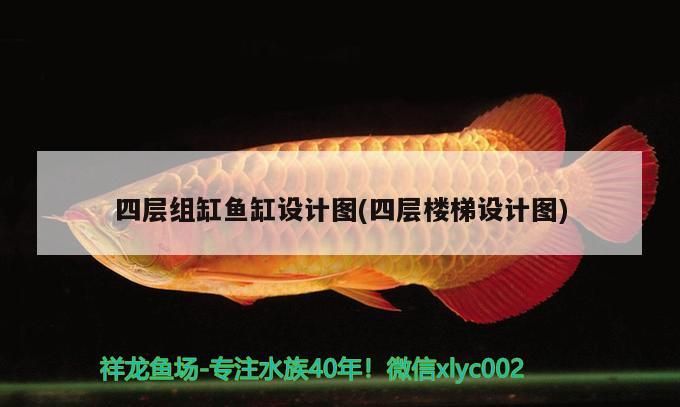 四層組缸魚缸設(shè)計圖(四層樓梯設(shè)計圖)