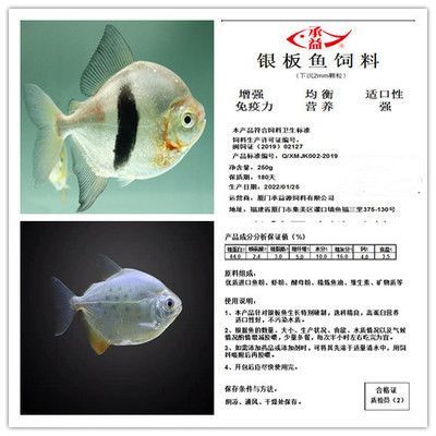 虎紋銀板魚飼料選擇指南，-虎紋銀板魚飼料選擇指南，虎紋銀板魚飼料選擇指南