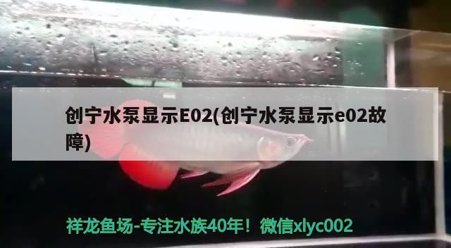 創寧水泵顯示E02(創寧水泵顯示e02故障)