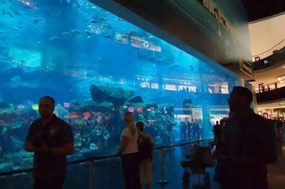 水族館的名字有哪些（水族館名字的創(chuàng)意與選擇）