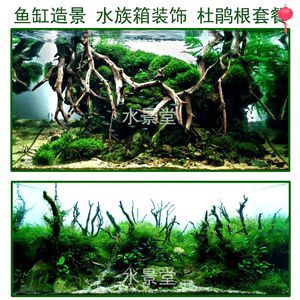 龍魚缸放什么石頭好，龍魚缸中適合放置的石頭有哪些