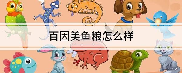 原神金龍魚用什么魚餌：探尋原神金龍魚的偏好魚餌，解鎖釣魚新奧秘