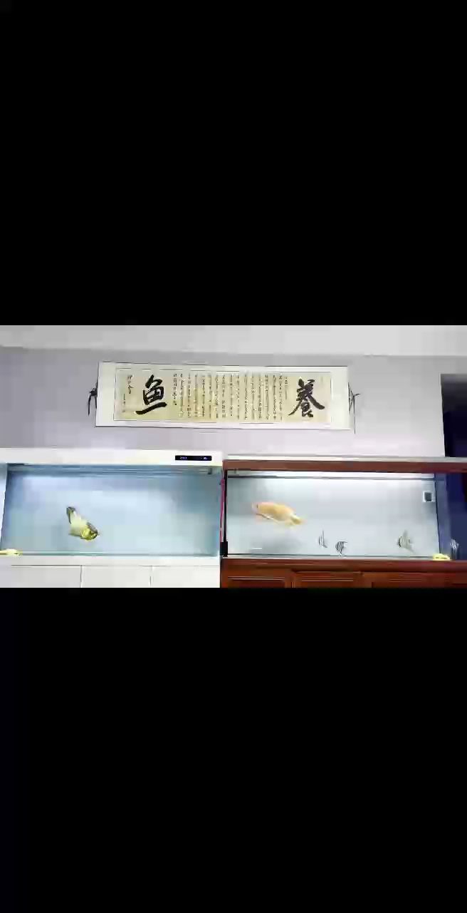 斯是陋室，惟吾德馨