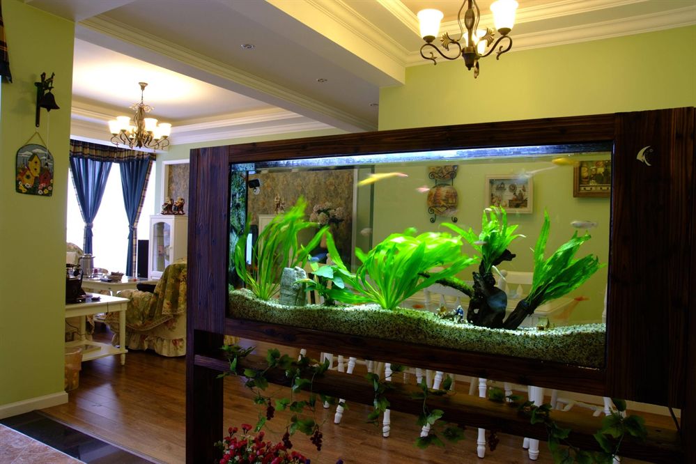 金龍魚和四大糧商（金龍魚 四大糧商）