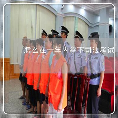 2020年買豬鼻龜犯法嗎：豬鼻龜是國家等級保護對象