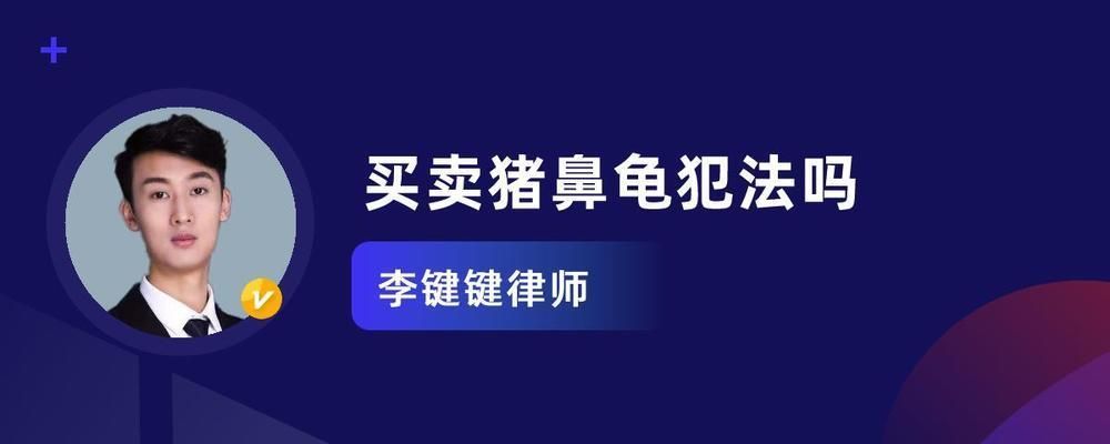2020年買豬鼻龜犯法嗎：豬鼻龜是國家等級保護對象