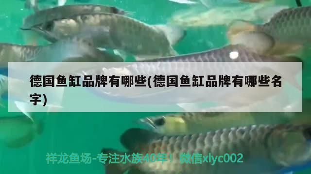 南陽市哪里有賣魚缸的地方呀（南陽賣魚缸的店鋪）