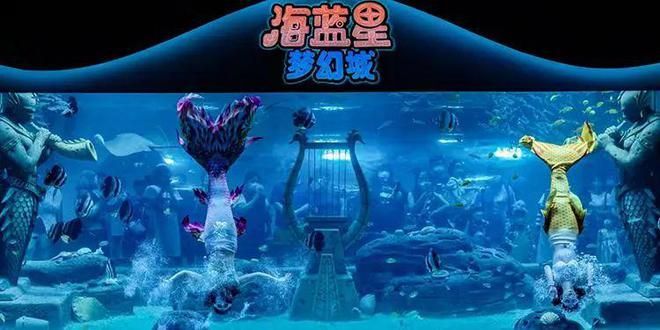 水族館店面：<strong><mark>上海</mark></strong>海洋水族館的互動項目介紹壽光珊瑚水族館的營業時間查詢