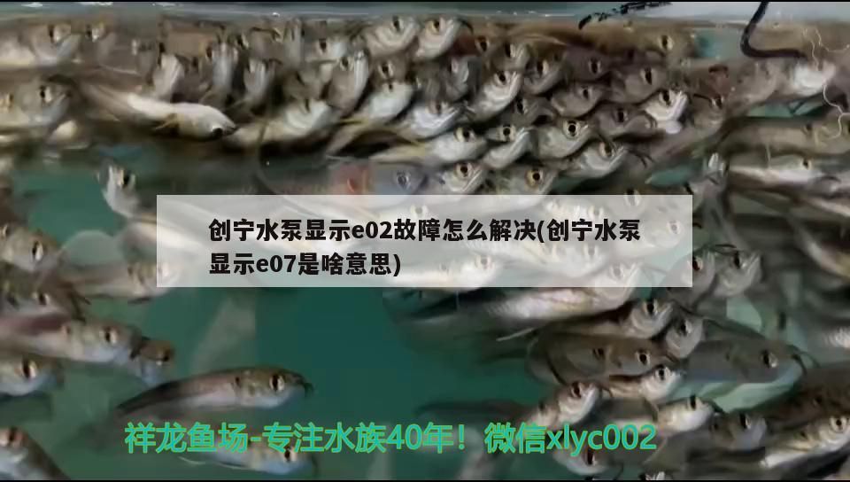 創(chuàng)寧水泵顯示e02故障怎么解決(創(chuàng)寧水泵顯示e07是啥意思)