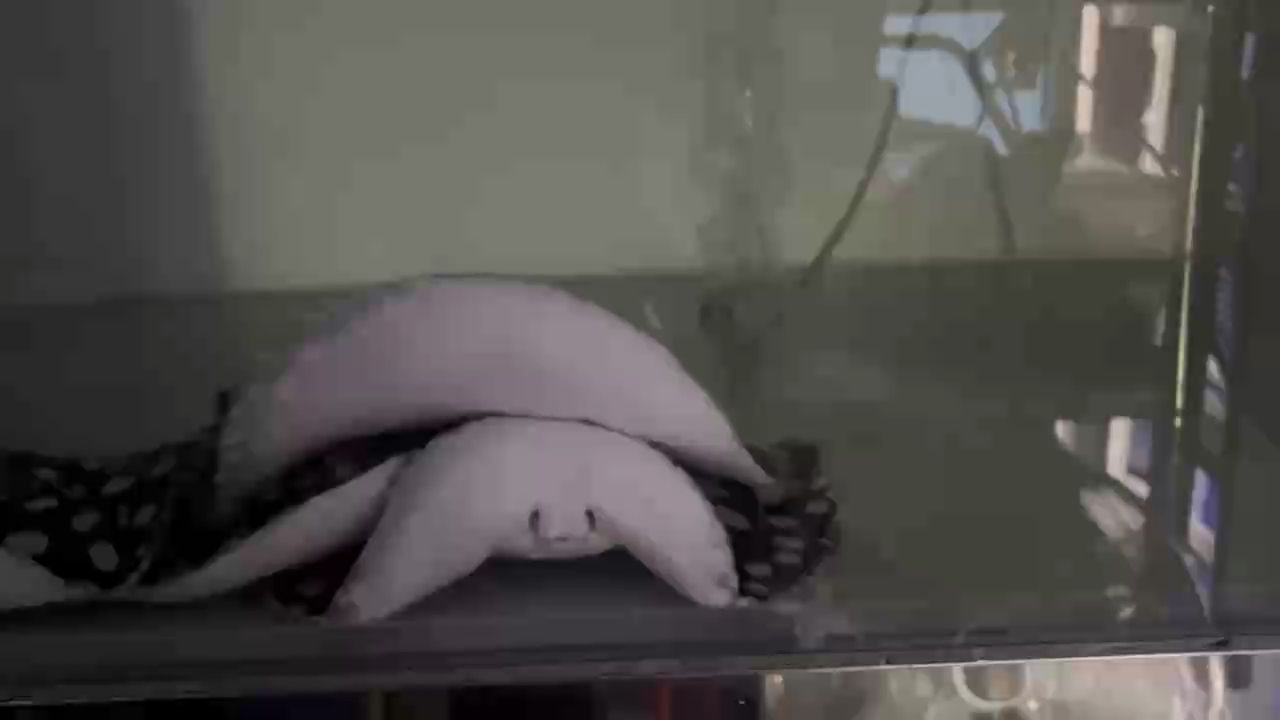 知行合一