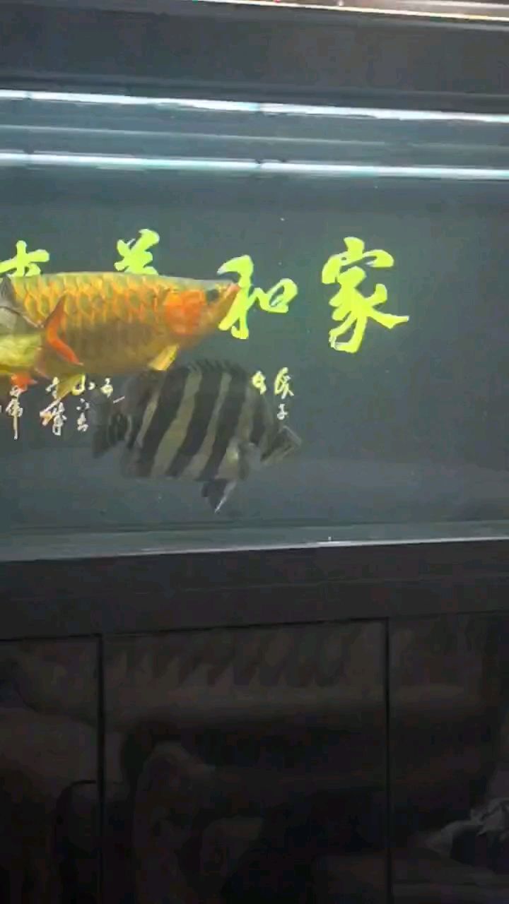 學(xué)壞了