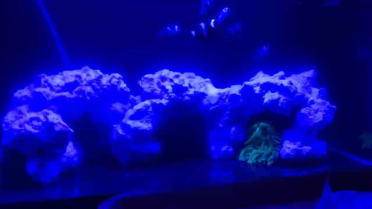 維他命的藥效？ 爆氧？