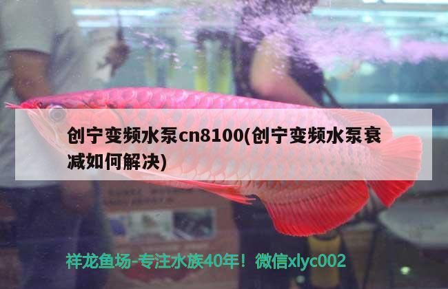 創寧變頻水泵cn8100(創寧變頻水泵衰減如何解決)