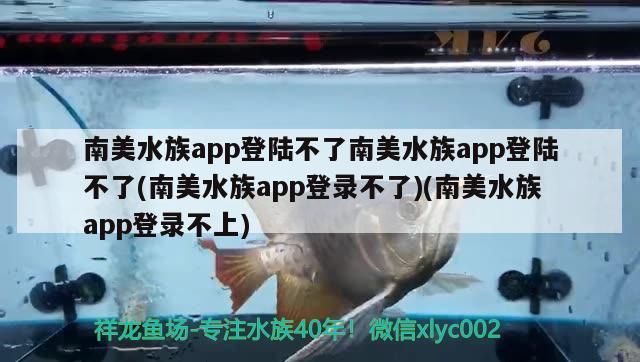 南美水族app登陸不了南美水族app登陸不了(南美水族app登錄不了)(南美水族app登錄不上) 南美水族app登陸不了南美水族app登陸不了(南美水族app登錄不了)(南美水族app登錄不上) 速倍妥魚糧魚藥