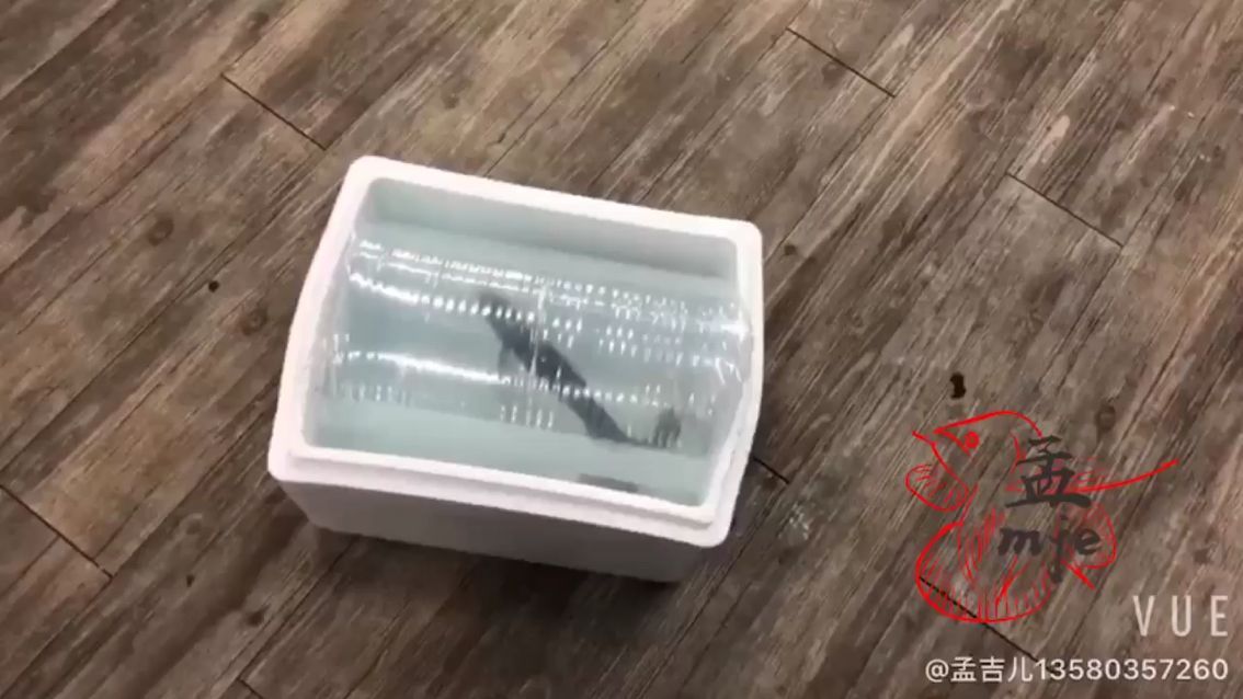 孟吉爾～紅外線f1三月首發