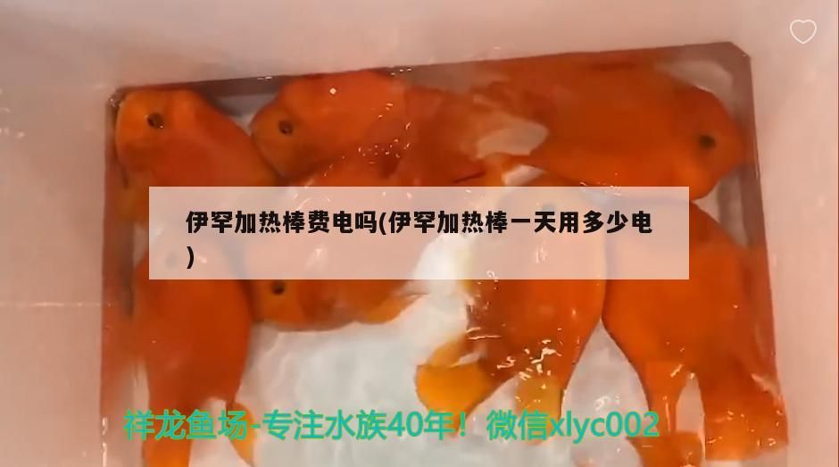伊罕加熱棒費電嗎(伊罕加熱棒一天用多少電)