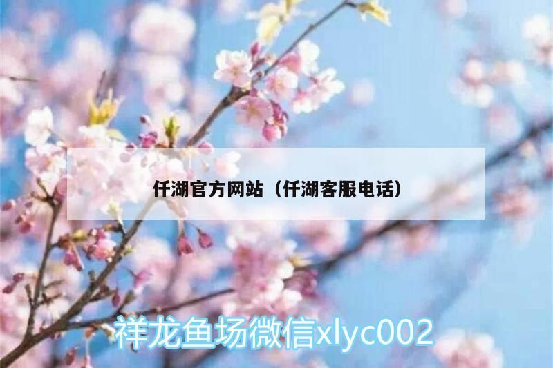 仟湖官方網站（仟湖客服電話）