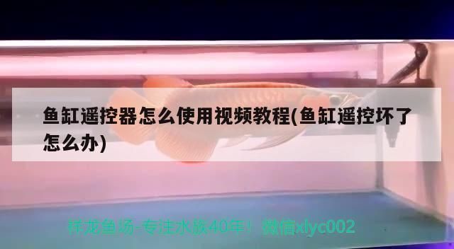 魚缸遙控器怎么使用視頻教程(魚缸遙控壞了怎么辦)