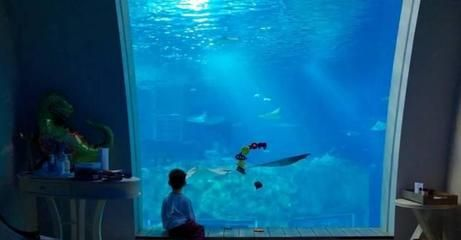 開一間水族館大概要多少錢人民幣呢：開設一家水族館的成本
