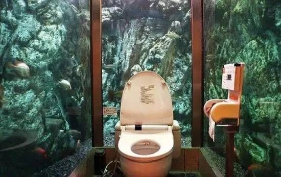 開一間水族館大概要多少錢人民幣呢：開設一家水族館的成本