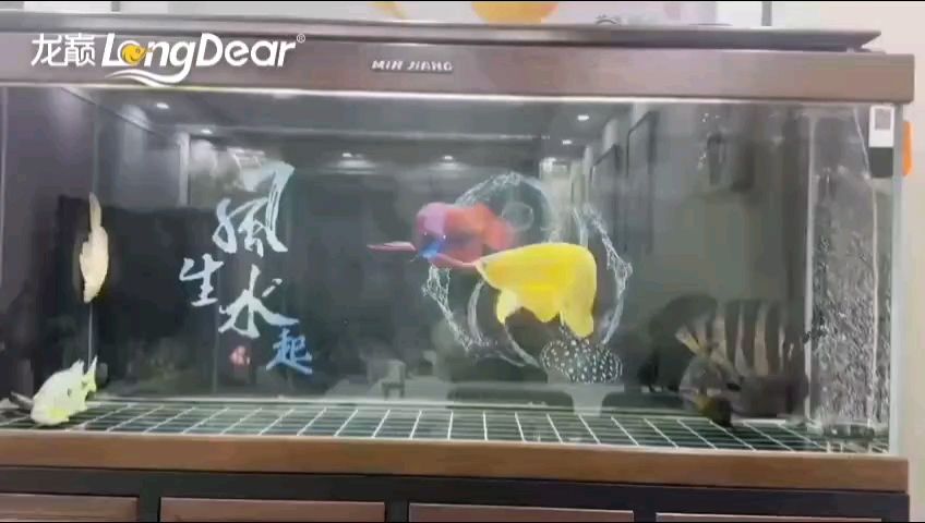 轉發721