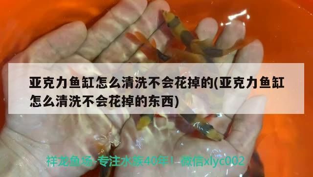 亞克力魚缸怎么清洗不會花掉的(亞克力魚缸怎么清洗不會花掉的東西)