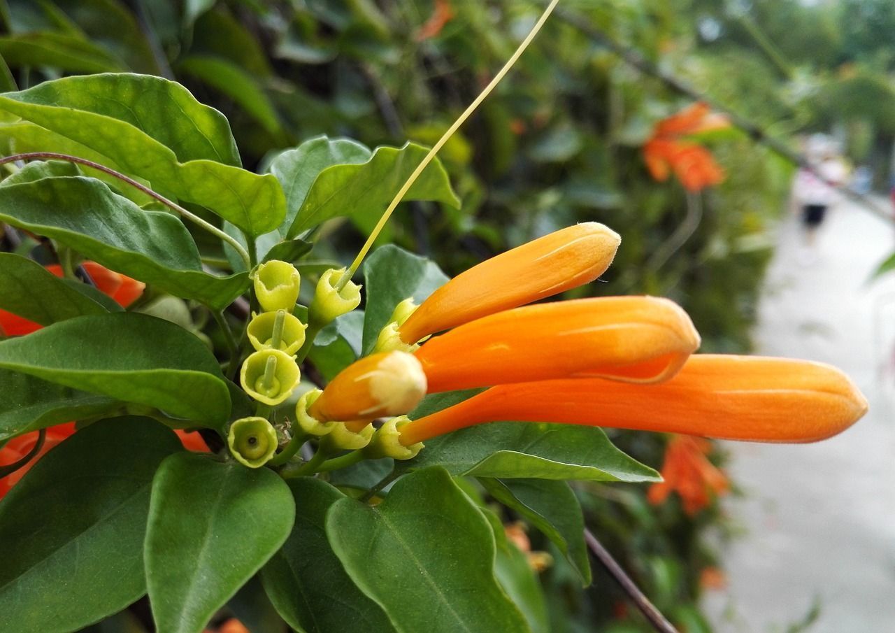 森森魚缸最佳水位