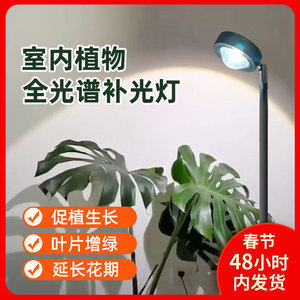 元寶鳳凰能和龍魚混養嗎圖片大全：元寶鳳凰與龍魚混養，可行與否及觀賞之美