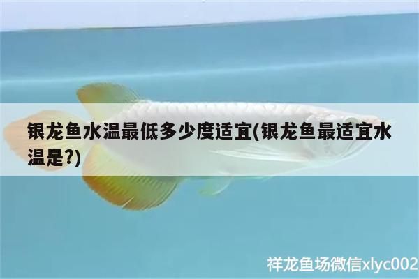 銀龍魚水溫最低多少度適宜(銀龍魚最適宜水溫是?)