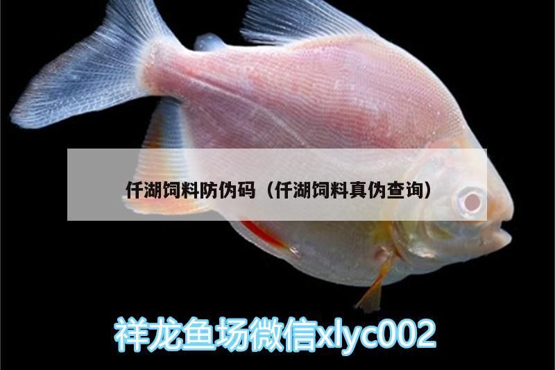 仟湖飼料防偽碼（仟湖飼料真偽查詢）