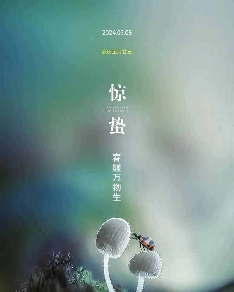 今日驚蟄 今日驚蟄 龍魚(yú)論壇 第4張