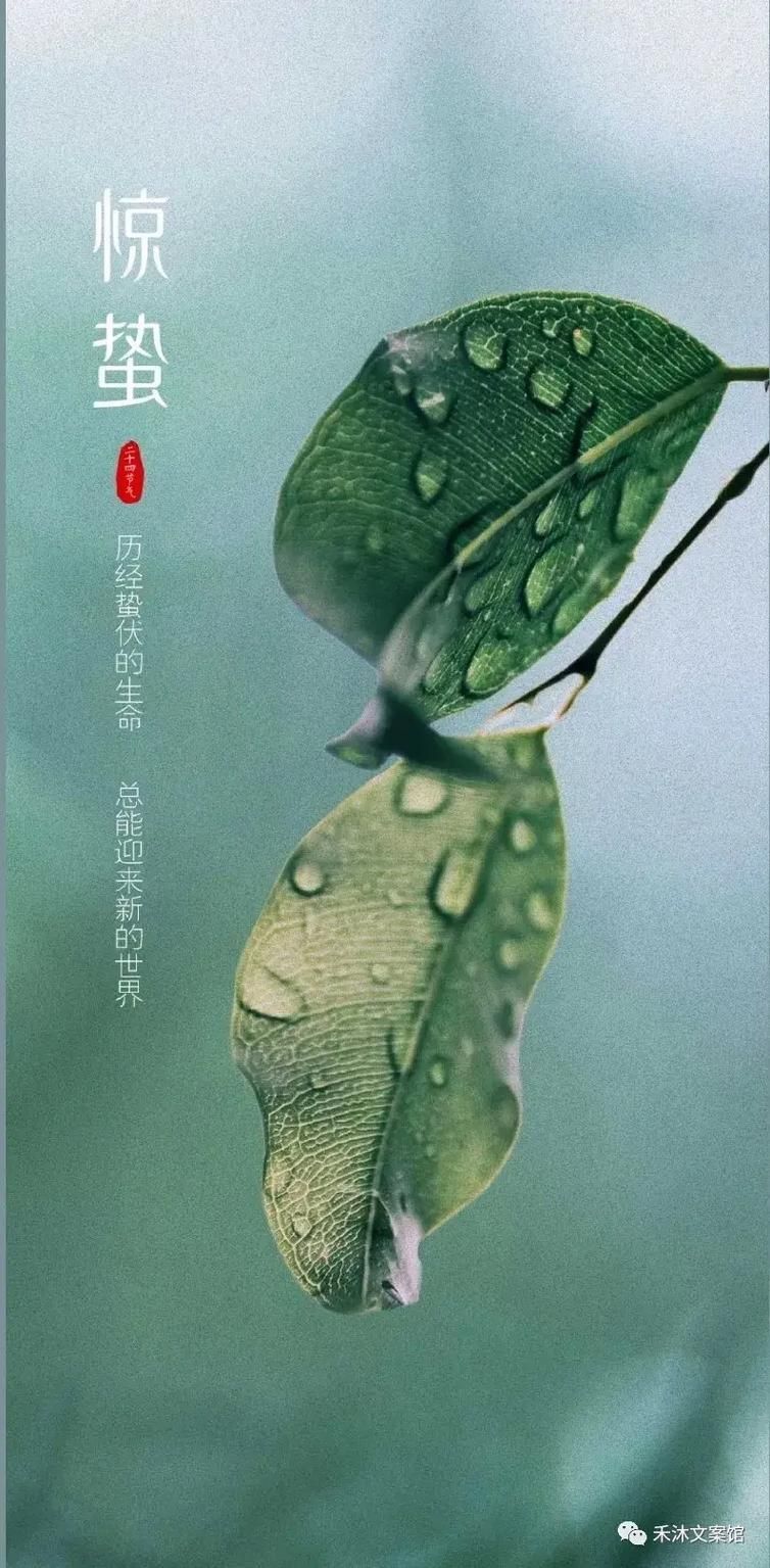 今日驚蟄 今日驚蟄 龍魚(yú)論壇 第5張