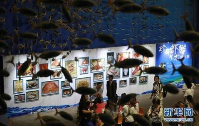 水族館屬于什么分類：極地海洋世界特色展覽,水族館科研項目案例分析