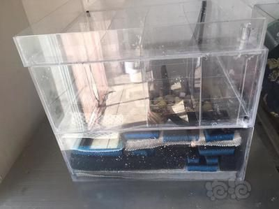 diy魚缸底濾：如何diy制作魚缸底濾缸