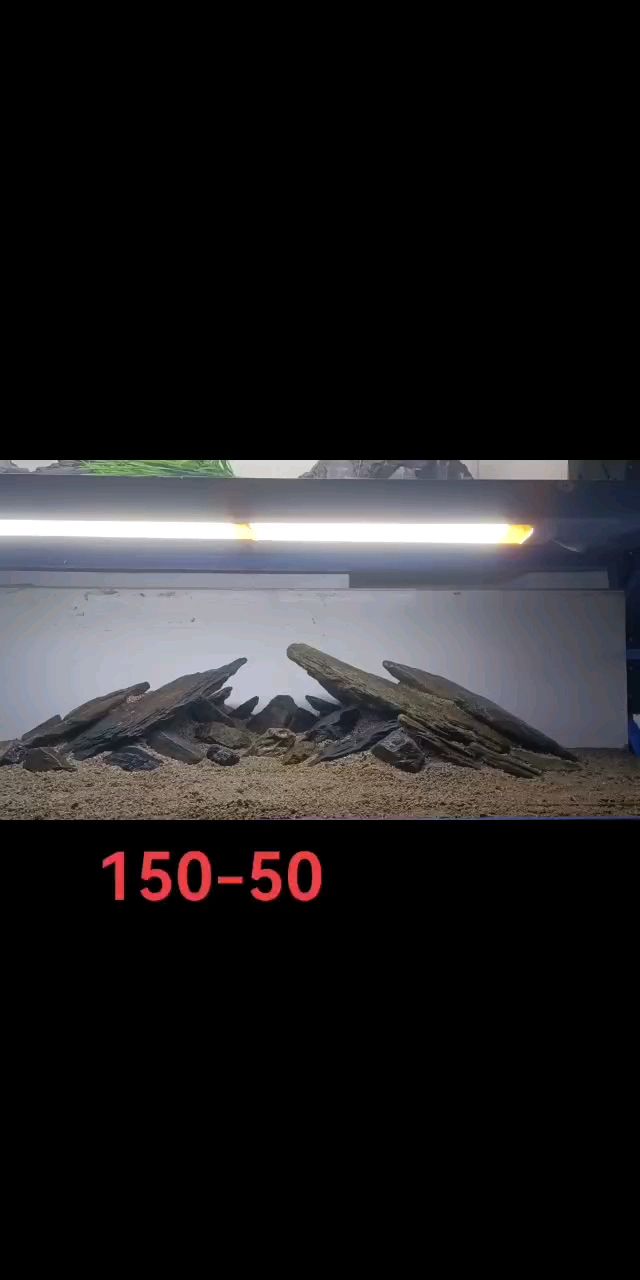 溪流缸造是 溪流缸造是 龍魚論壇