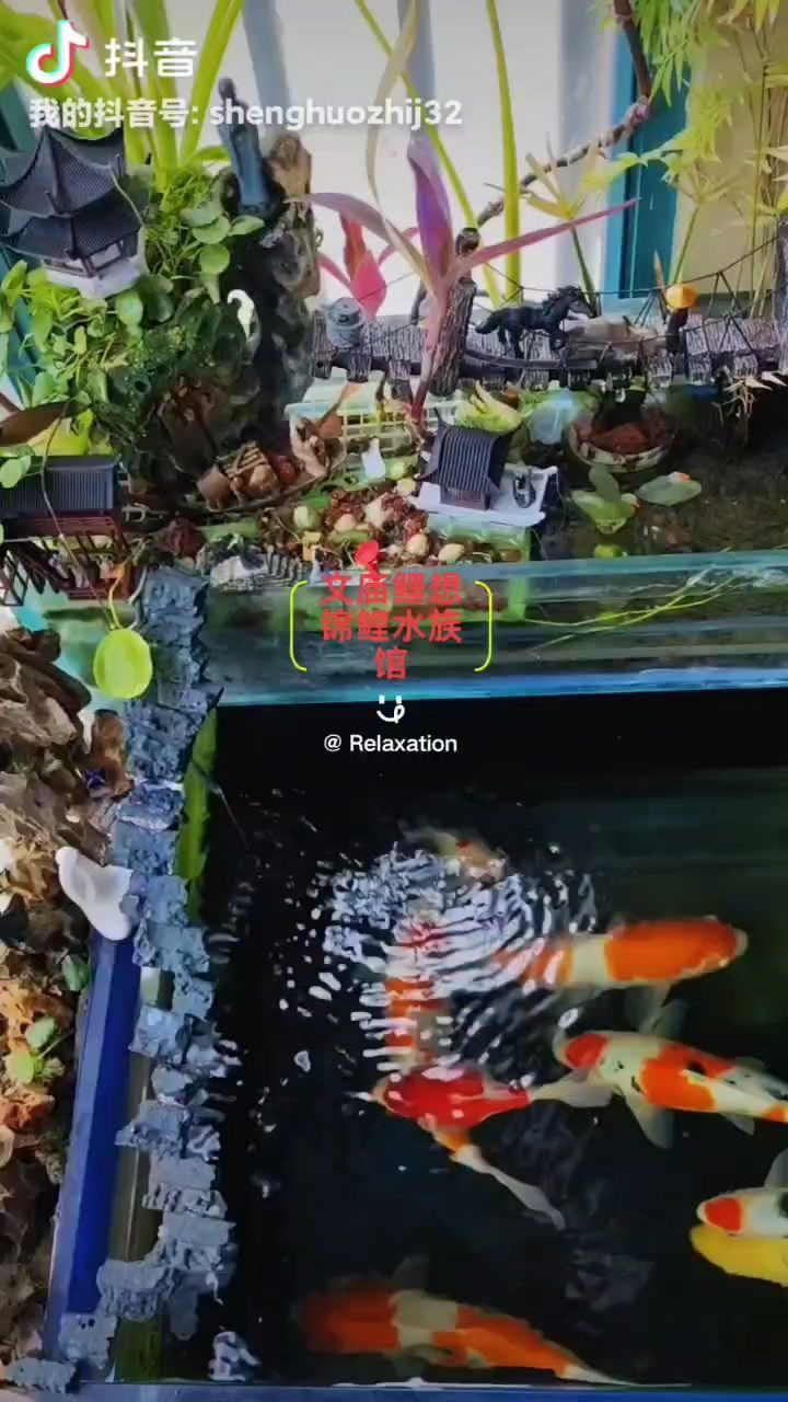 ′業余愛好