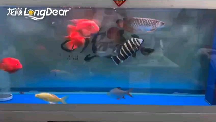 轉發720