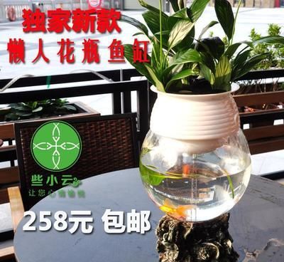 定制金魚缸多少錢一套合適（定制金魚缸價格因素多種因素而異） 定制金魚缸多少錢一套合適（定制金魚缸價格因素多種因素而異） 泗水龍魚 第4張
