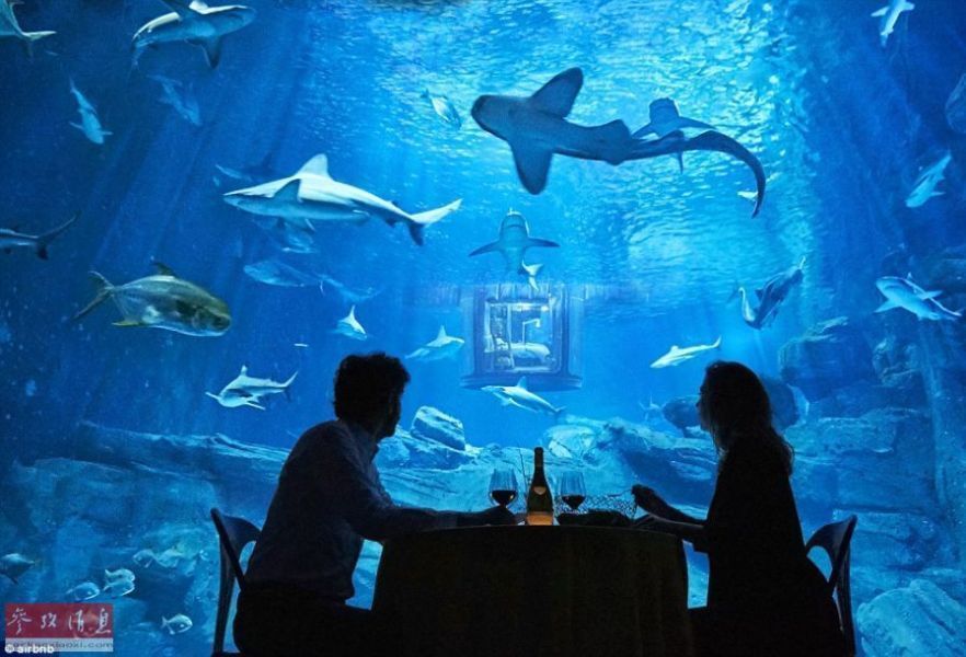 水族館房間（樂山大佛旅游住宿推薦）