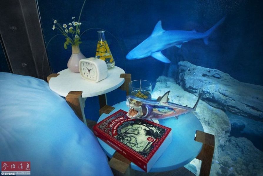 水族館房間（樂山大佛旅游住宿推薦）