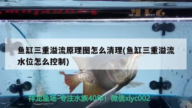 魚缸三重溢流原理圖怎么清理(魚缸三重溢流水位怎么控制)